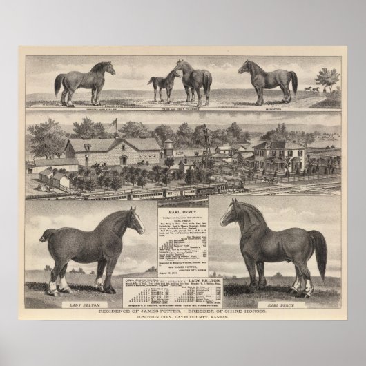 Verblijf van James Potter, Junction City, Kansas Poster (Voorkant)