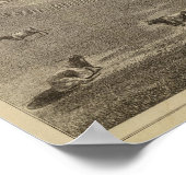 Verblijfplaats, Minnesota Poster (Hoek)