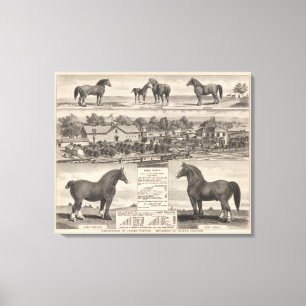 Verblijfplaats van James Potter, Junction City, Ka Canvas Afdruk