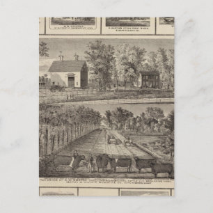 Verblijfselen en bedrijven in Muscatine Briefkaart