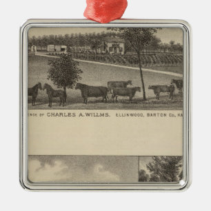 Verblijfselen en Boerderijen, Edgerton, Kansas Metalen Ornament