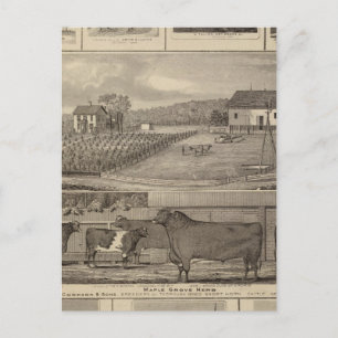 Verblijfselen, gebouwen en kerken briefkaart