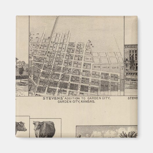 Verblijfselen in Kansas Magneet (Voorkant)