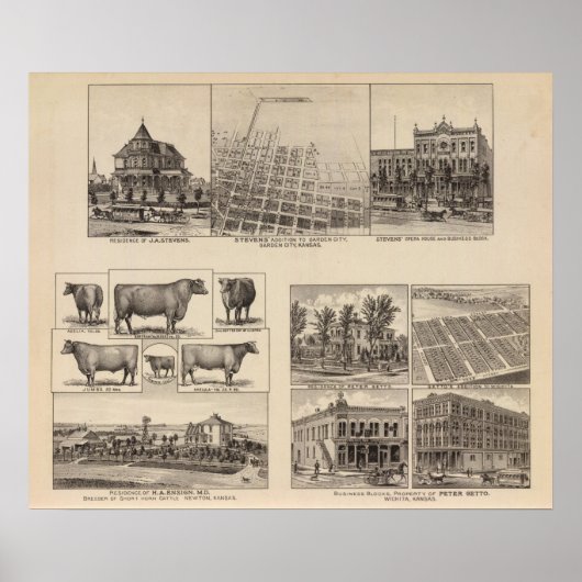 Verblijfselen in Kansas Poster (Voorkant)