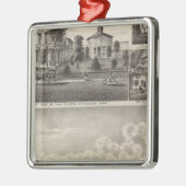 Verblijfselen in Rochester, Minnesota Metalen Ornament (Links)