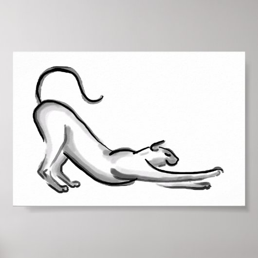 Verblindend kat penseel schilderen poster (Voorkant)