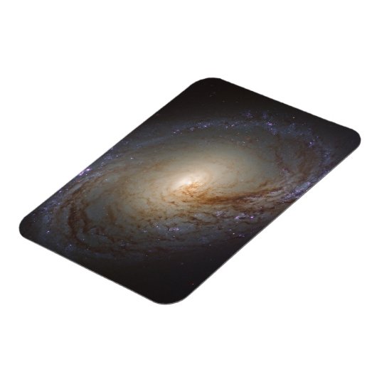 Verblote Lenticulaire Galaxy NGC 3368 Magneet (Linkerzijde)