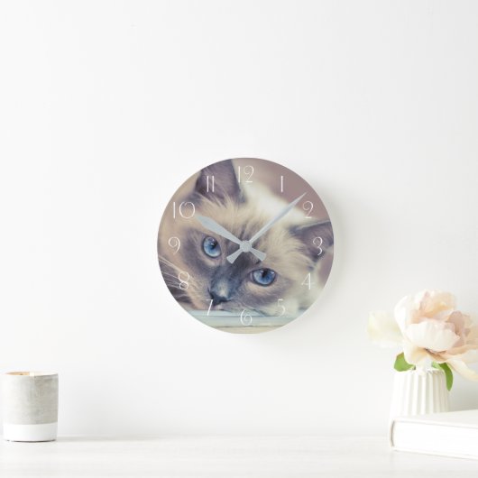 Verbluffend blauw-oestel ‎ kat ronde klok (Huis)