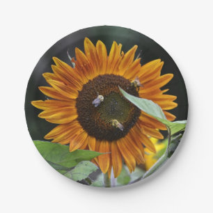 Verbluffend Bord voor zonnebloempapier