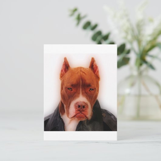 Verbluffend Briefkaart (Staand voorkant)