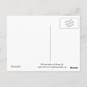 verbluffend briefkaart van de muur (Achterkant)