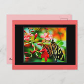 Verbluffend Butterfly Postcrossing Briefkaart (Voorkant / Achterkant)
