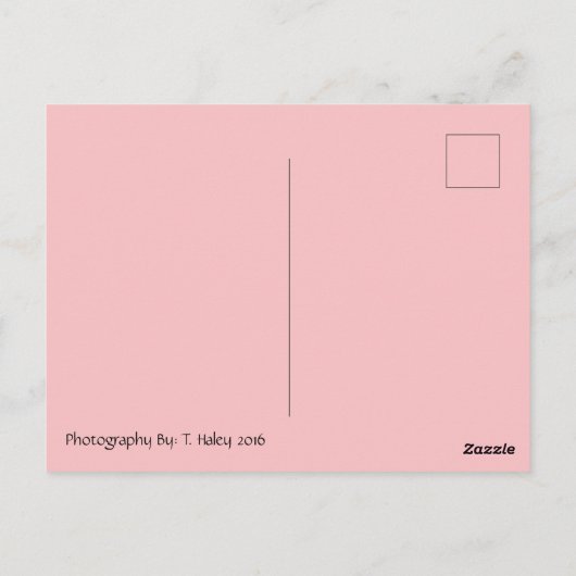 Verbluffend Butterfly Postcrossing Briefkaart (Achterkant)