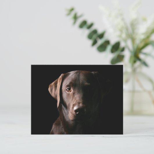 Verbluffend chocolaatlabrador briefkaart (Staand voorkant)
