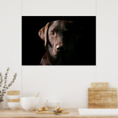 Verbluffend chocolaatlabrador poster (Keuken)