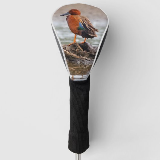 Verbluffend Cinnamon Blauwgroen Duck op Rock Golfheadcover (Voorkant)