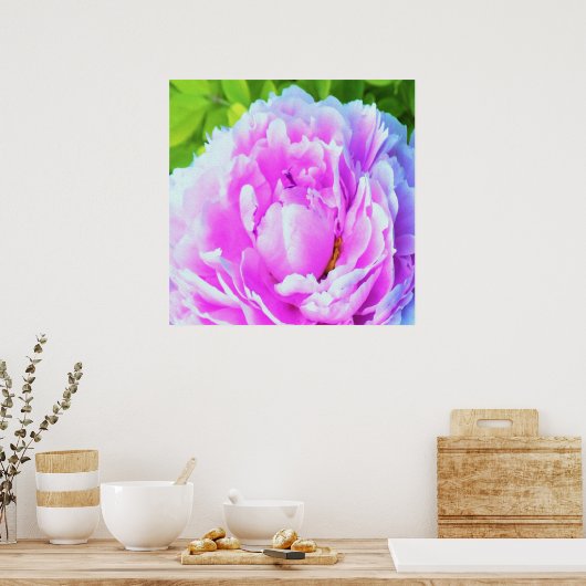 Verbluffend dubbel roze kledingstuk poster (Keuken)