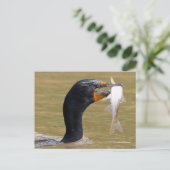 Verbluffend dubbelCrested Cormorant Bird met Fish Briefkaart (Staand voorkant)
