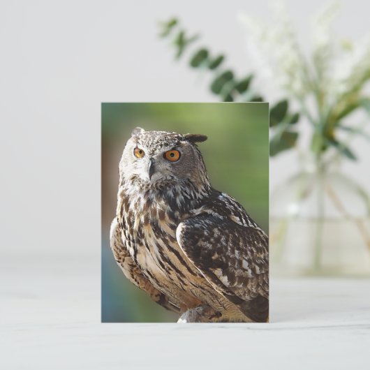 Verbluffend Eagle Owl met Oranje ogen Briefkaart (Staand voorkant)