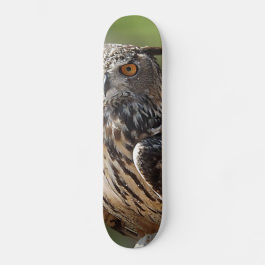 Verbluffend Eagle Owl met Oranje ogen Skateboard (Voorkant)