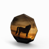 Verbluffend fotoblok voor paarden (Rechts)