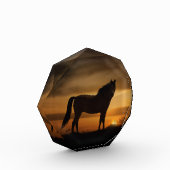 Verbluffend fotoblok voor paarden (Links)