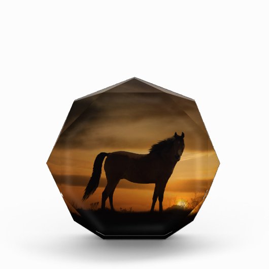 Verbluffend fotoblok voor paarden (Voorkant)