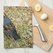 Verbluffend geperste snuffel in de gras theedoek (Quarter Fold)