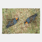 Verbluffend geperste snuffel in de gras theedoek (Horizontaal)