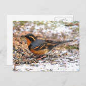 Verbluffend geperste snuffel op Snowy Ground Briefkaart (Voorkant / Achterkant)