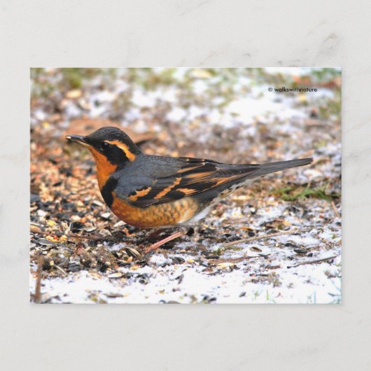 Verbluffend geperste snuffel op Snowy Ground Briefkaart (Voorkant)