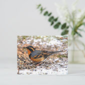 Verbluffend geperste snuffel op Snowy Ground Briefkaart (Staand voorkant)