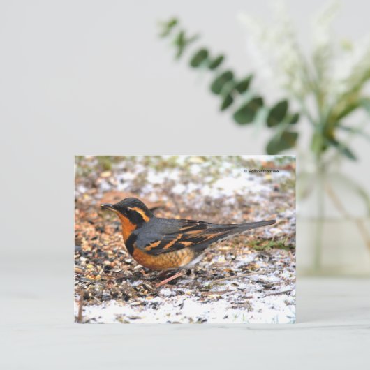 Verbluffend geperste snuffel op Snowy Ground Briefkaart (Staand voorkant)