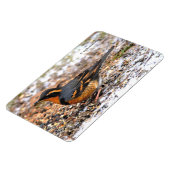 Verbluffend geperste snuffel op Snowy Ground Magneet (Linkerzijde)