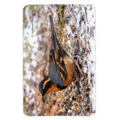 Verbluffend geperste snuffel op Snowy Ground Magneet (Verticaal)