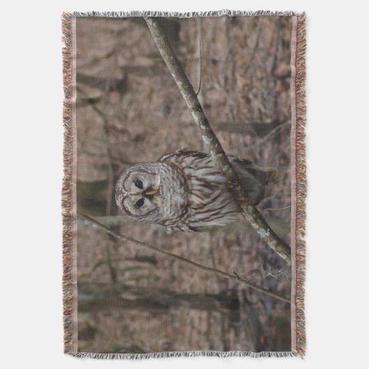 Verbluffend gestreepte driemaands deken (Voorkant Verticaal)