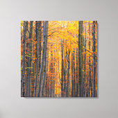 Verbluffend gouden herfstbos canvas afdruk (Voorkant)