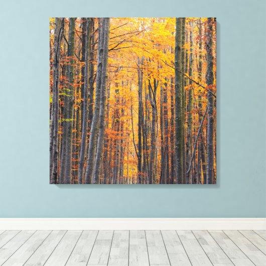 Verbluffend gouden herfstbos canvas afdruk (Insitu (Houten vloer))
