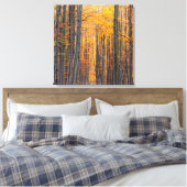 Verbluffend gouden herfstbos canvas afdruk (Insitu (Slaapkamer))
