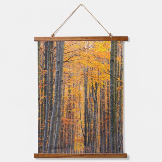 Verbluffend goudherfstbos hangend wandkleed (Voorkant)