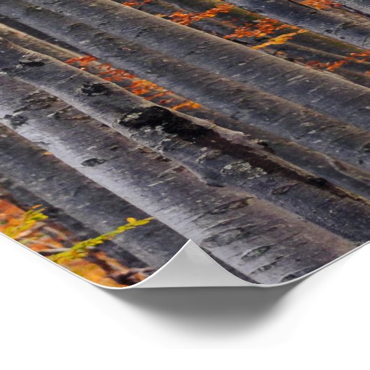 Verbluffend goudherfstbos poster (Hoek)