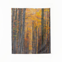 Verbluffend goudherfstbos