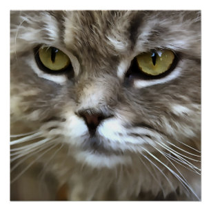 Verbluffend grijs kattepunts artistiek portret perfect poster