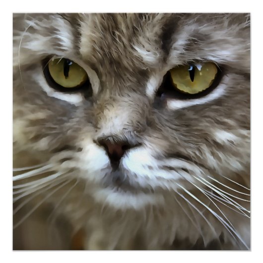 Verbluffend grijs kattepunts artistiek portret perfect poster (Voorkant)