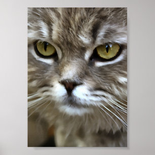 Verbluffend grijs kattepunts artistiek portret poster