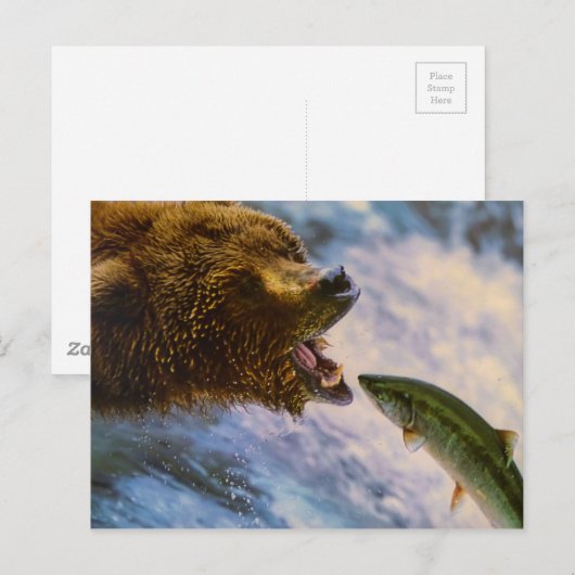 Verbluffend grizzly beer zalm afbeelding briefkaart (Voorkant / Achterkant)