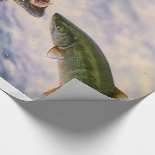 Verbluffend grizzly beer zalm afbeelding cadeaupapier (Hoek)