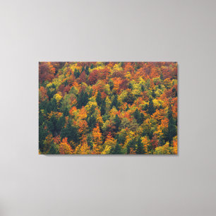 Verbluffend herfstbos canvas afdruk