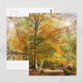 Verbluffend herfstbos met massale conkers briefkaart (Voorkant / Achterkant)