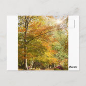 Verbluffend herfstbos met massale conkers briefkaart (Achterkant)